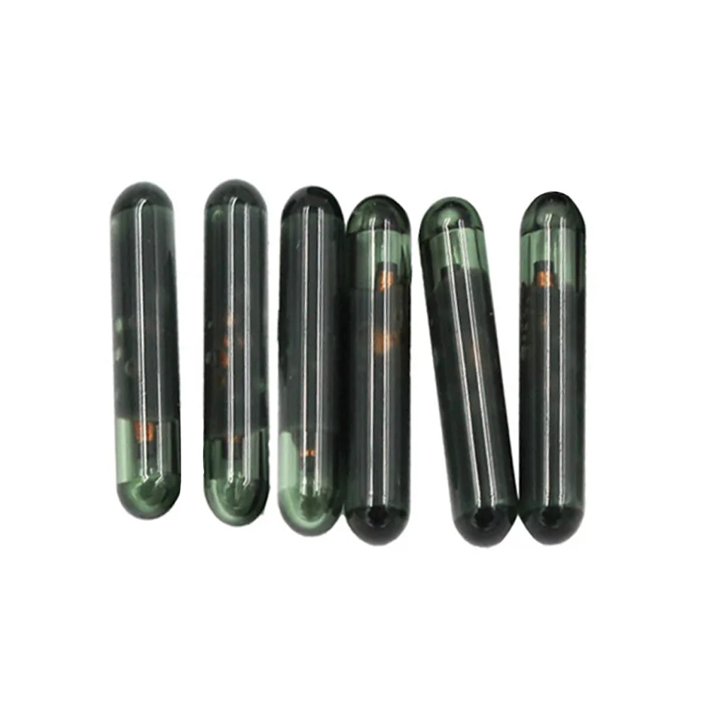 10 pz/lotto Chip chiave auto vuoto ID13 Chip chip Transponder in vetro ID 13 Chip per Audi per Fiat per Acura per Honda per Chevrolet