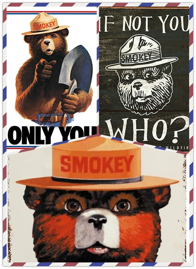 Smokey Bear Only You - IF NOT YOU WHO? - PLEASE! US Forest Service Fires Retro Wall Decor Metal Tin Sign 8x12in New