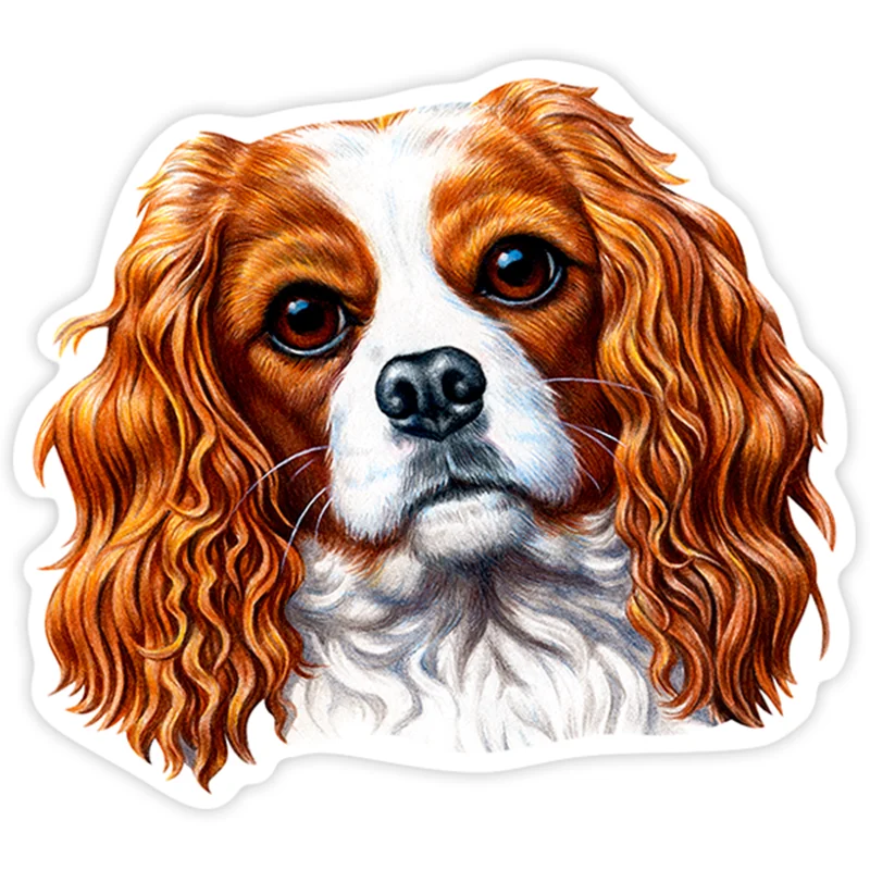 

S40234# Various Sizes PVC Decal Cavalier King Charles Car Sticker Waterproof on Bumper Rear Window Laptop Refrigerator Toilet