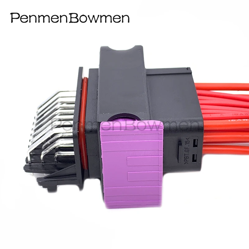 Auto FCI Oil to Gas Computer Board, ECU Plug Conector Eletrônico, Cablagem, 211PC249S0005, HCCPHPE24BKA90F, 24Pin