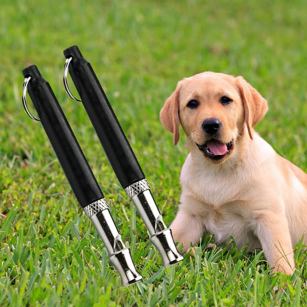 Sifflet supersonique à haute fréquence pour chien, contrôle des aboiements, entraînement, dissuasion des chiots, accessoire pour animaux de compagnie