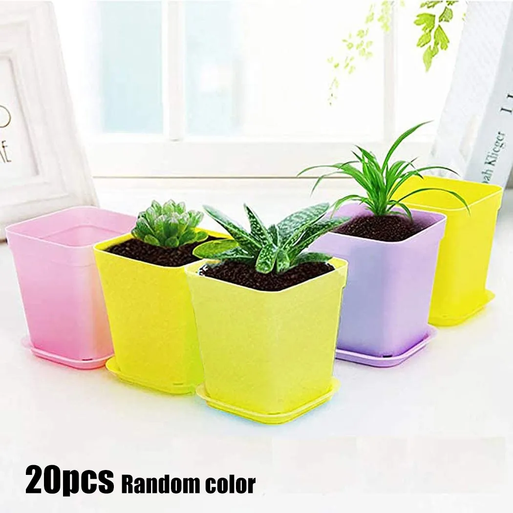 20pcs Mini Basin Square Flower Pot Succulent Plant Trays Color Mixing Home Office Decor DIY Garden Supplies