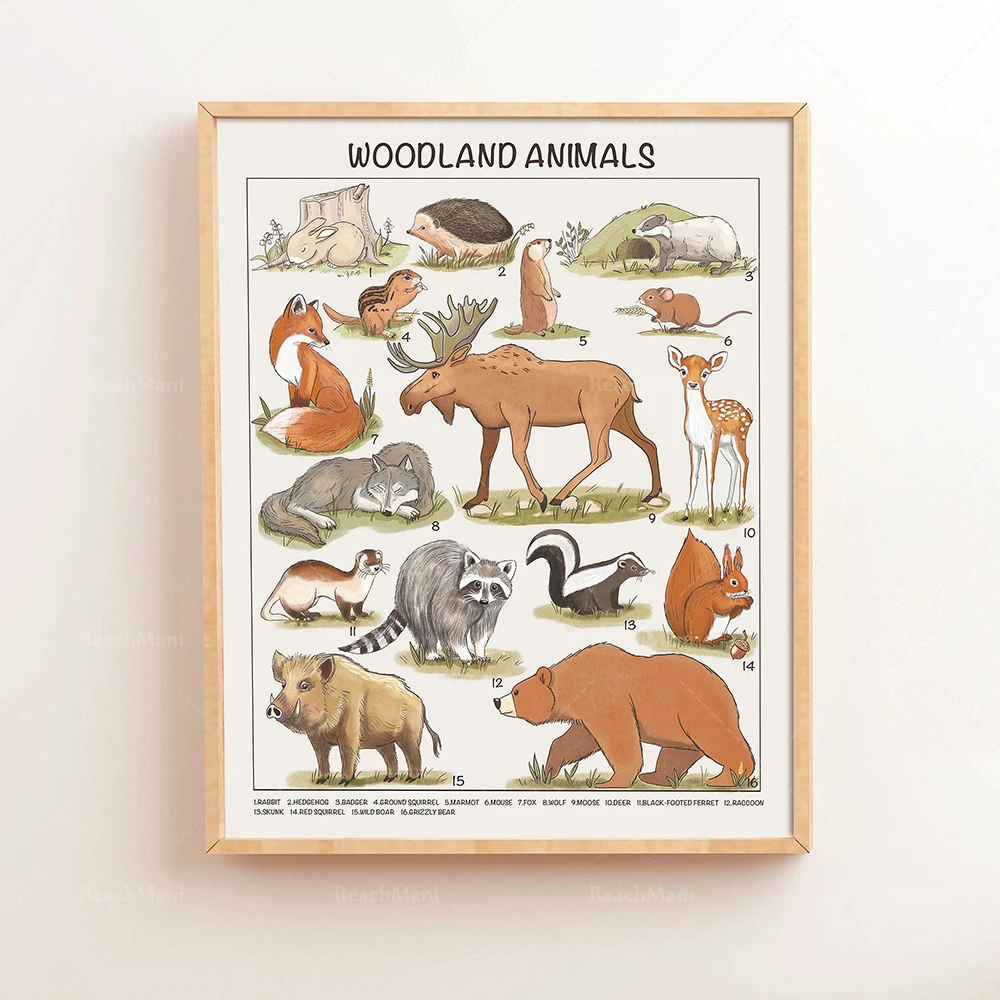 Safari Animals Educational Pos - Kids Education Nursery review and price