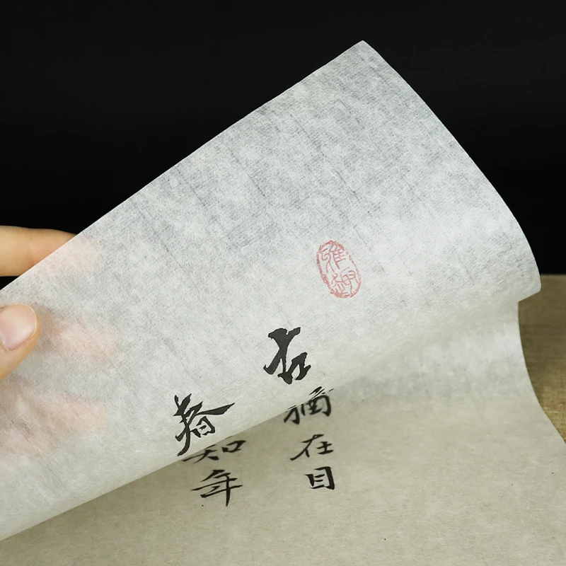 Yan Pi Xuan Paper Cicada Wing Xuan Paper Calligraphy Papier Half Ripe Xuan Paper Calligraphy Papel Arrzo Brush Papier Student