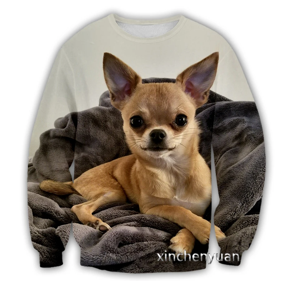 

xinchenyuan New FashionMen/Women's Cute Chihuahua Dog 3D Printed Long sleeve Clothing Casual Sport Streetwear Pullover S27