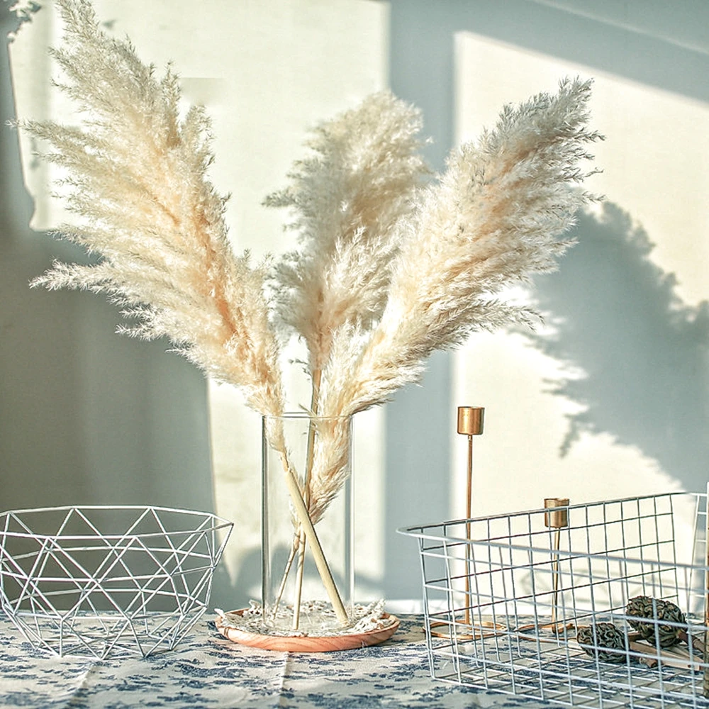 Fluffy Large Pampas Grass Decoration,Natural Color,Dried Flowers Bouquet,Boho Vintage Wedding Ceremony,For Modern Home,Christmas