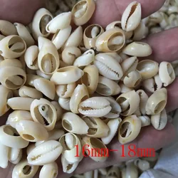 50Pcs/lot White DIY Sea Shell Conch Charm Cowrie Beads Jewelry Accessories For Women Beach Seashell Bracelet Necklace Earrings