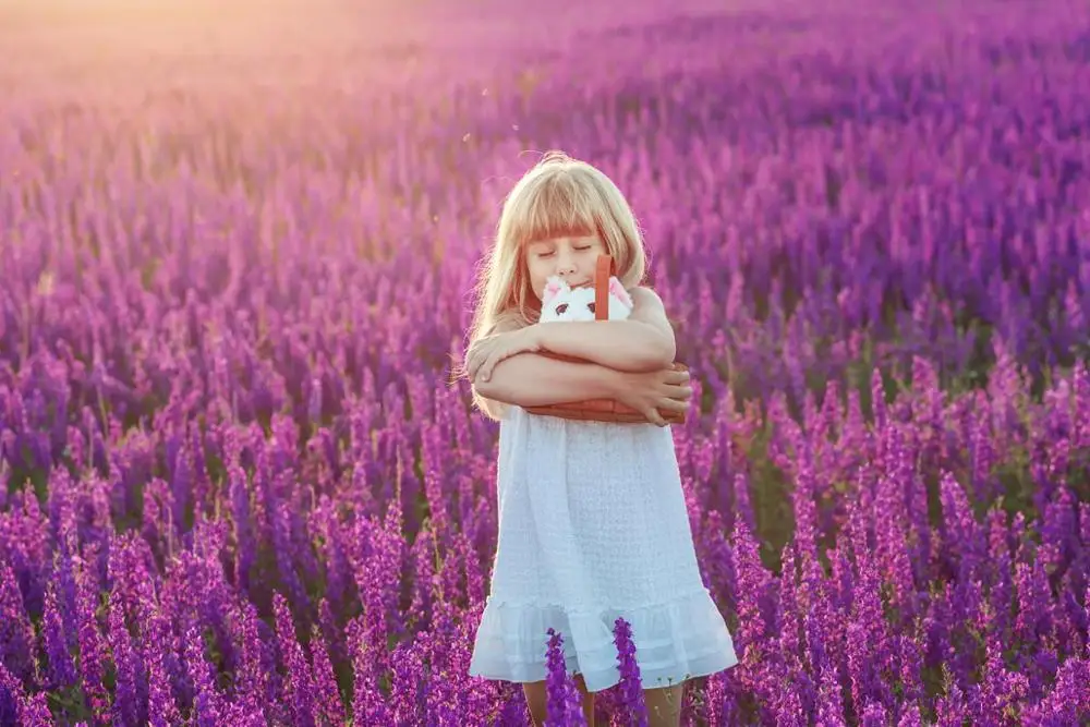 

Purple lavender field in Provence photo vinyl wedding dress photography backdrop for kids photo studio kits photophone S-2086