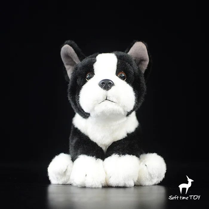 small    gift    model  little  black  bull dog