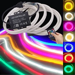 220V 110V Neon Led Strip Light RGB muzyka kompatybilny z Bluetooth zdalny elastyczny 2835 5050 120Led lampa wstążkowa String Waterproof