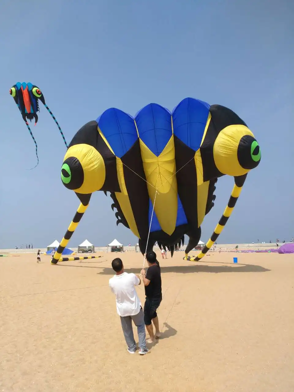 KITE-cometas grandes y suaves de 16m2 Trilobite, producto personalizado, venta de fábrica