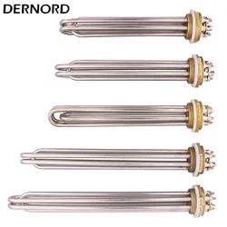 DERNORD 220V/380V Electric Immersion Heating Element DN32/DN40 Water Heater Resistance SUS304