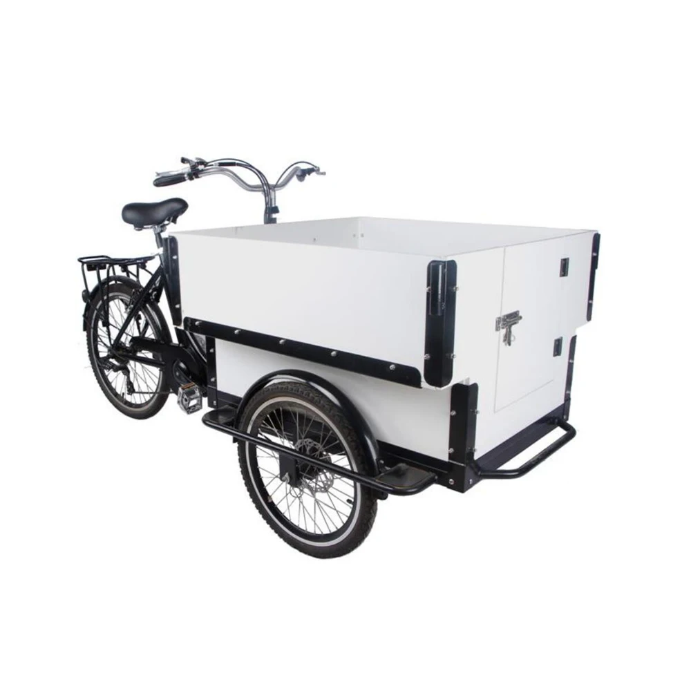 

Brushless (DAPU) E Cargo Tricycle Family Electric 3 Wheeler Bike Tourney 6/7 Speeds Tourism Leisure France Spain