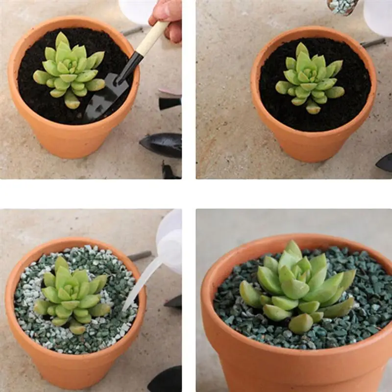 10Pcs Small Terracotta Pot Clay Ceramic Pottery Planter Cactus Flower Pots  Succulent Nursery Pots Great for Plants Crafts