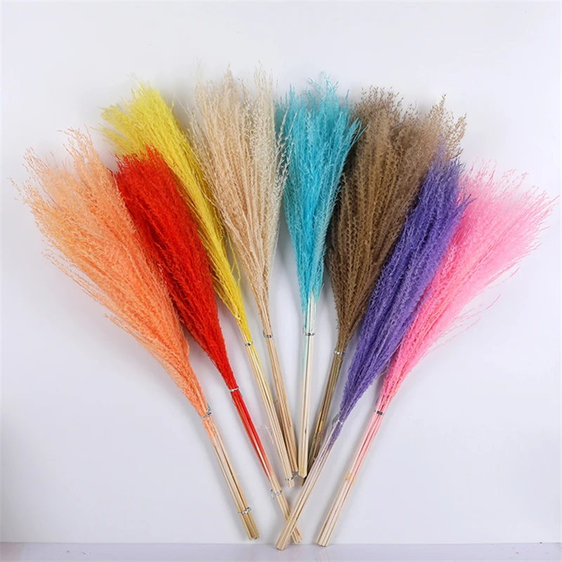 

Natural Dried Flowers for Decoration Pampas Grass Home Decor Pampa Dried Flower Bouquet Wedding Rabbit Christmas Dry Reeds Party