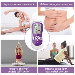 TENS Kegel Trainer Electric Pelvic Muscle Stimulation incontinence Therapy Women Improve intimate sensation CE Approval