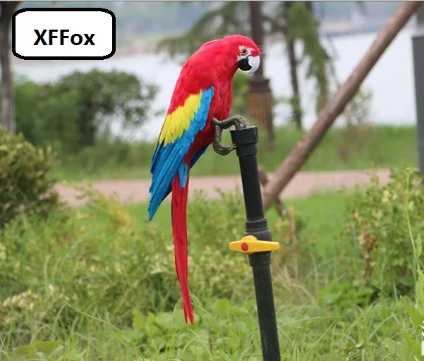 

big real life parrot model foam&feather simulation colorful parrot bird gift about 45cm xf2521