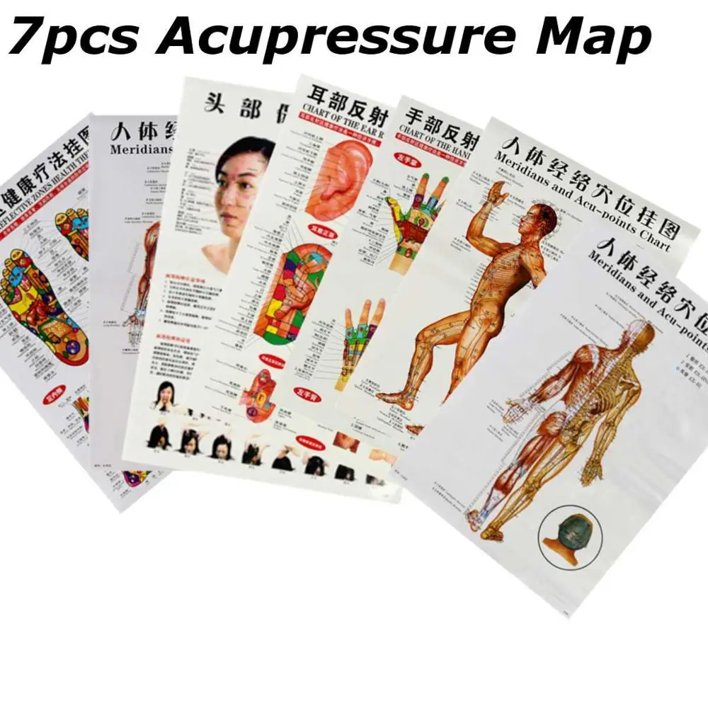 7 Sheets English/Chinese Meridian Points Of Human Wall Chart Female /Male Acupuncture Massage Point Map Flipchart
