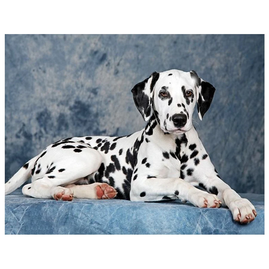 

Full Square Diamond Dalmatian dog 5D DIY Diamond Painting Rhinestone Embroidery pet Cross Stitch Mosaic Painting Home Decor new