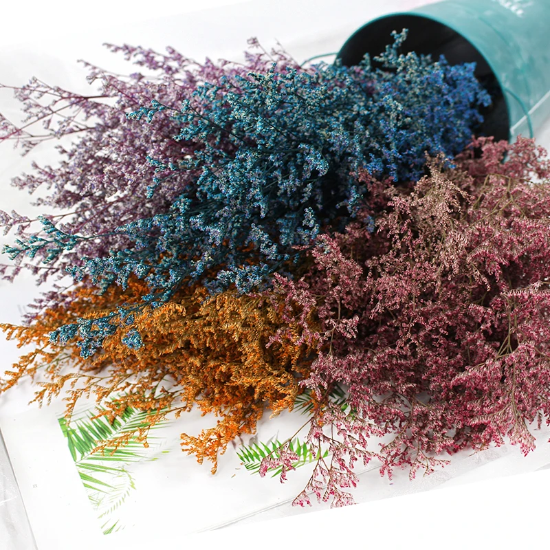 INS Phổ Biến Được Bảo Quản Lễ Tình Nhân Cỏ Limonium Hoa Lovergrass Cho Bán Hoa Phụ Kiện Trang Trí Nhà Cửa