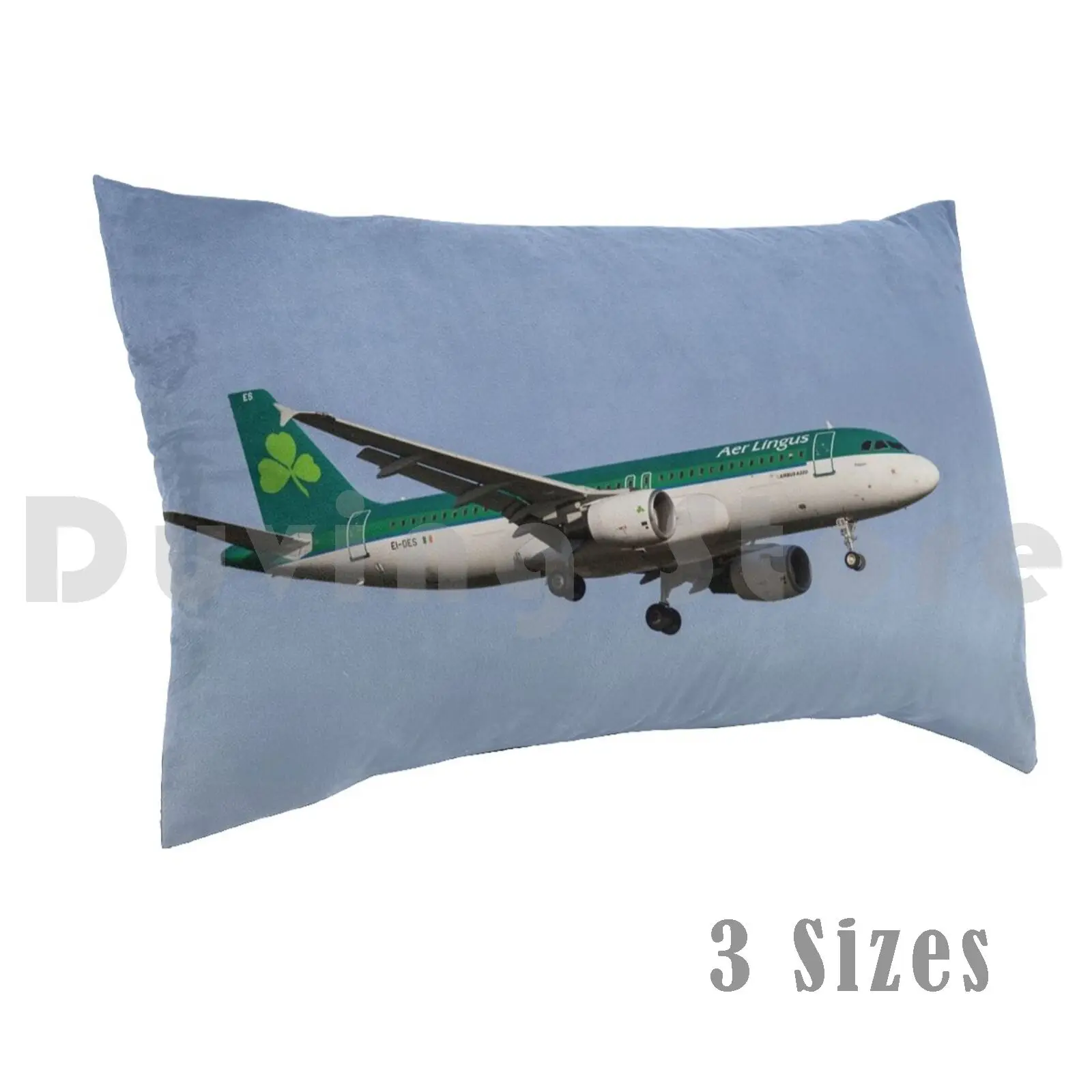 Aer Lingus Airbus A…