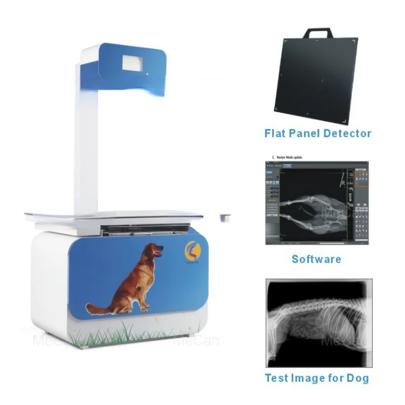 200MA Medical Animal Digital X Ray Machine Cost, Veterinary X Ray Equipment