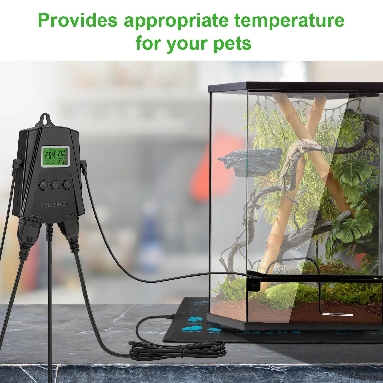 Inkbird WiFi Heat Mat Thermostat IPT-2CH Temperature Controller US/EU Plug for Seed Germination Reptiles Home Brewing Incubation