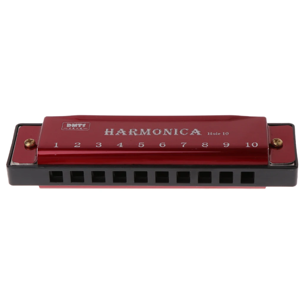 10 Holes Key of C Blues Harmonica Musical Instrument Educational With Case Gift