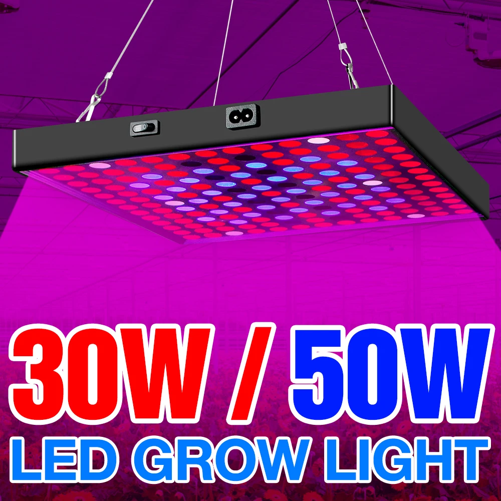 LED Grow Light Full Spectrum LED Flower Light LED Plant Lamp Indoor Growth Lamp 20W 30W 40W 50W Hydroponic Growing Box Grow Tent