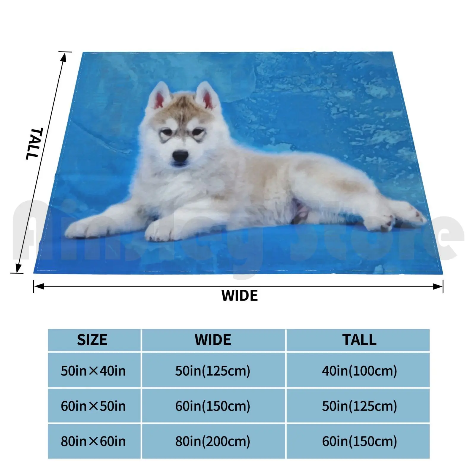 سيبيريا أجش جرو بطانية موضة مخصصة 1114 أجش جرو لطيف جرو سيبيريا أجش هاسكي مزلقة الكلب #2
