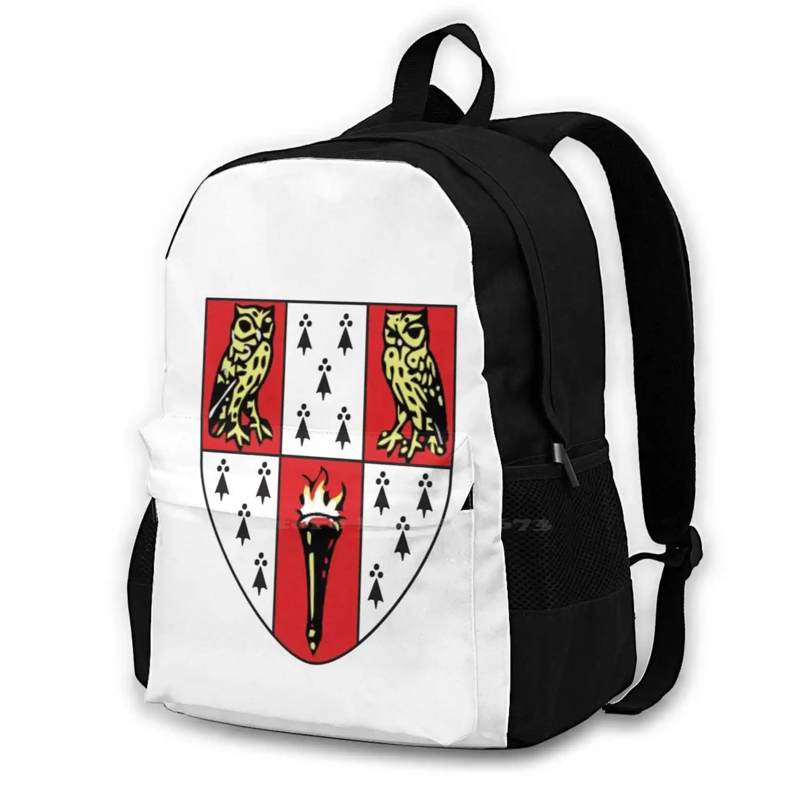 Hughes Hall Travel Laptop Bagpack School Bags University College