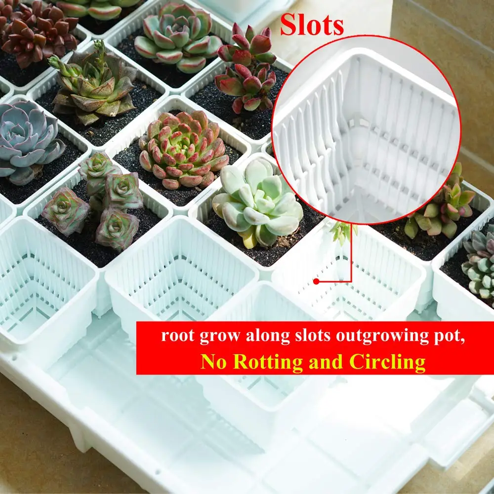 Meshpot 16-Pack Succulents Pots Plastic Flower Pot Plants Container Seedlings Nursery Supplies Home Decoration (Inner Dia. 6CM)