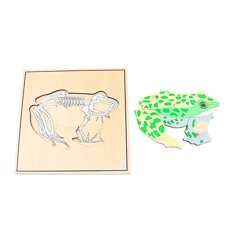 Children Educational Toys Montessori Materials Biology Wooden Skeleton Puzzle Frog Horse Tortiose Fish Bird Animal Toys for Boy