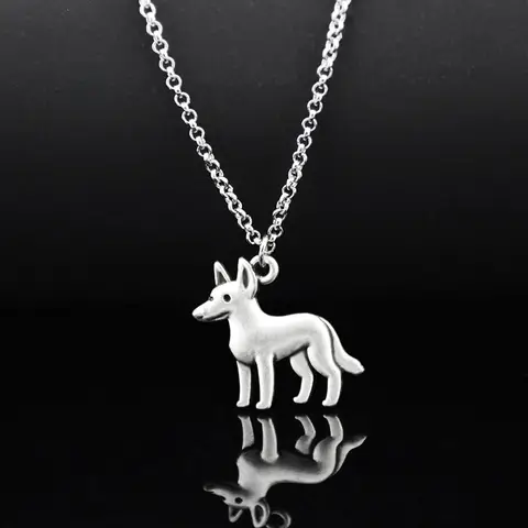 10 best sales Australisk nötkreaturshund - №9