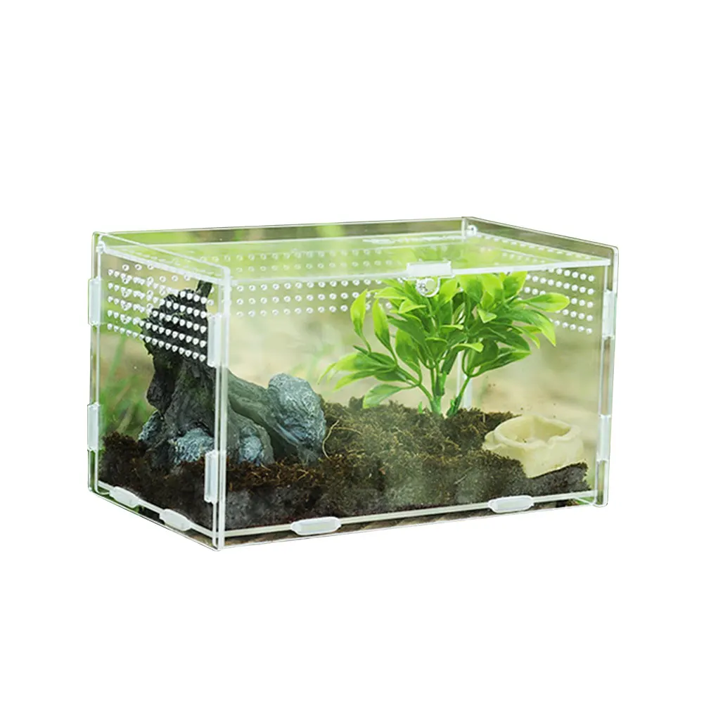 7X8X10CM Transparent Reptile Breeding Box Acrylic Feeding Box 360 Degree High Transparent Magnetic Pet Climbing  Terrarium