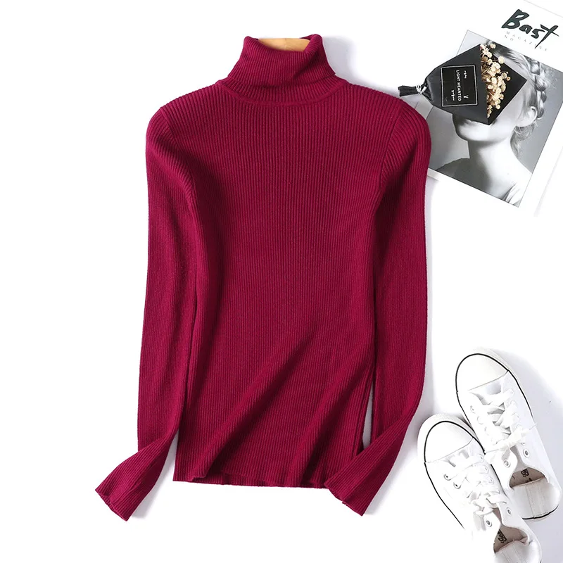 

Turtleneck Warm Women Sweater Autumn Winter Knitted Femme Pull High Elasticity Soft Female Pullovers Sweater