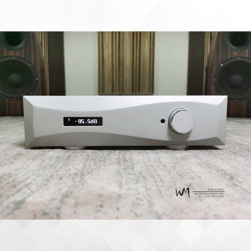 New WM AUDIO W1000 Audiophile grade HiFi pure Class A balanced discrete preamp audio power amplifier, 3 RCA input and 1XLR input