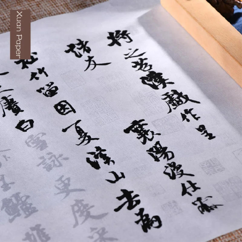 

Mi Fu Running Script Copybooks Chinese Adult Calligraphy Copybook Brush Pen Rice Paper Copybook Rubbings from the Stone Tablet