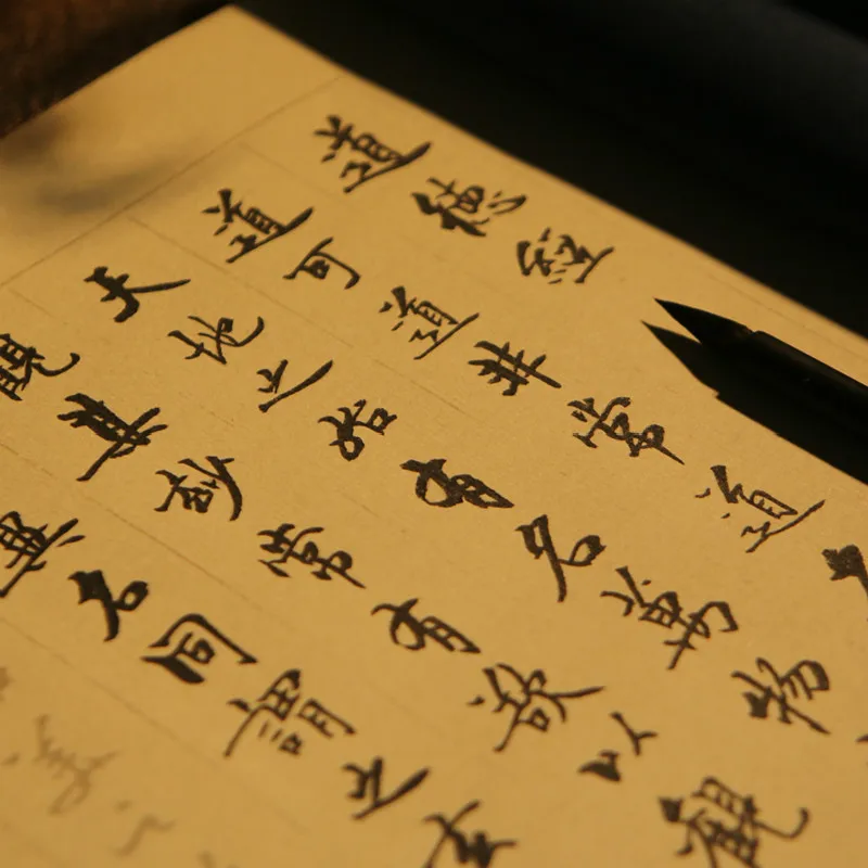 Classical Chinese Character Calligraphy Copybook Soft Brush Calligraphie Book Beginner Chinese Calligraphy Practice Copybooks