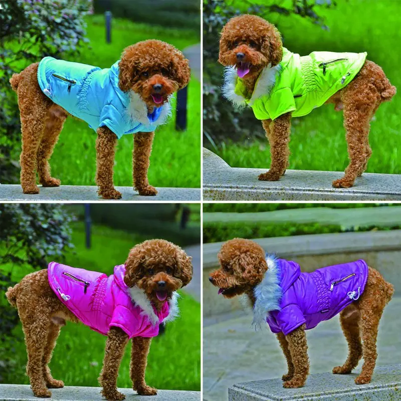 Winter Dog Clothes For Small Dogs Warm Hooded Puppy Dog Cat Coat Jackets Pet Down Parkas Chihuahua Pug French Bulldog Clothing