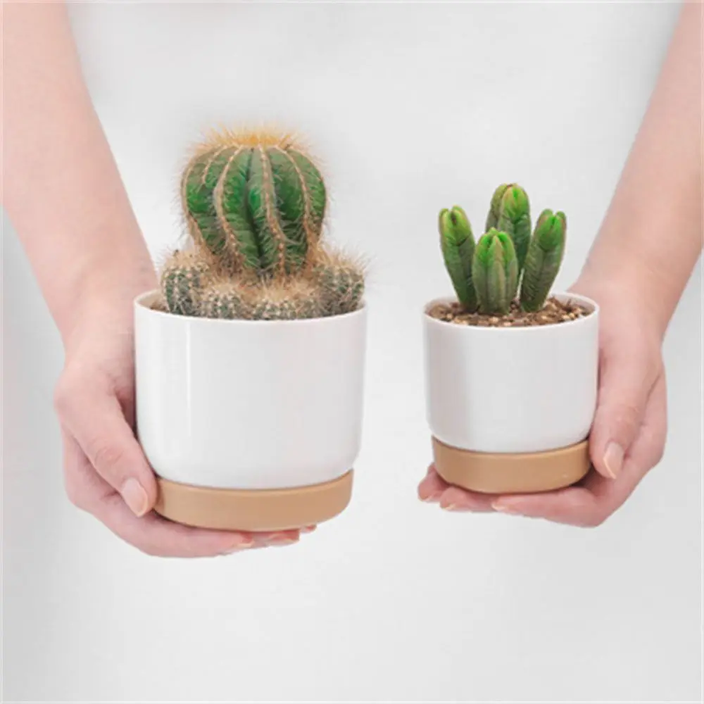 Round Green Plant Garden Supply Cactus With Drainage Hole Orchid Pots Ceramic Flower Pot Flower Containers Indoor