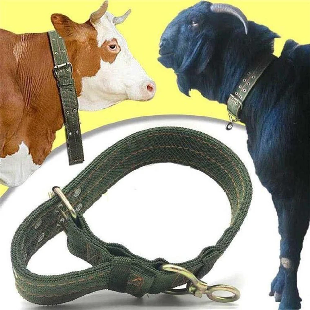 Adjustable Cattle Collar Cow Hauling Collar Livestock Feeding Supply Canvas Belt Strong Durable Belay Tie Veterinary Equipment