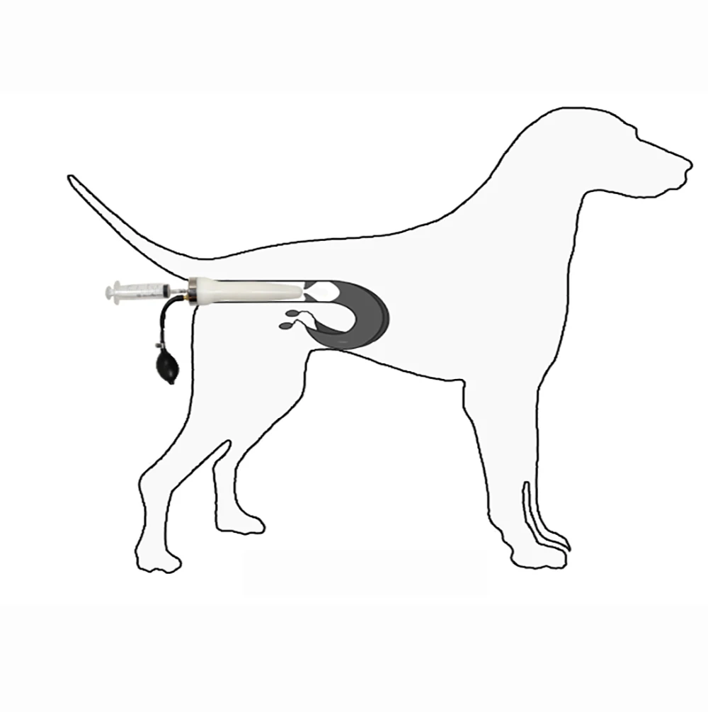 Cane Artificiale Insemina Siringa Imitazione Naturale di Accoppiamento Inseminazione Artificiale In Silicone Inseminating Siringa Cane Infusione Strumento