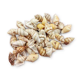 Natural Sea Shells With Holes Beach Conch Decoration Accessories Loose Beads For Jewelry DIY Pendant Crafts Making 7x14mm 100pcs