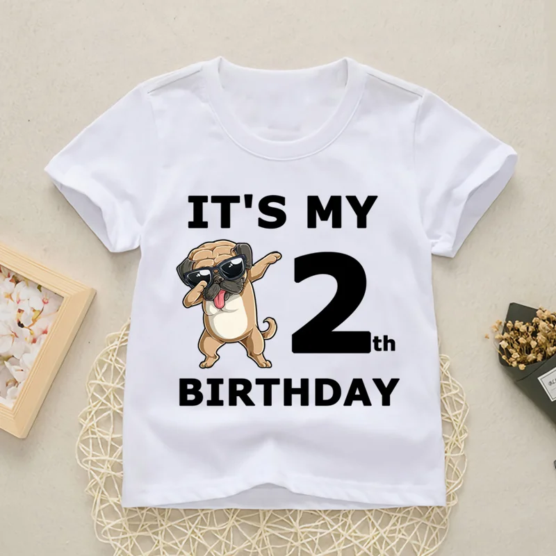 Baby Happy Birthday Number 1-10 Letter Print T Shirt Girls Boys Dogs Funny T-shirt Clothes Summer Cute Short Sleeve,YKP021