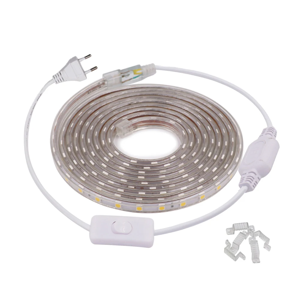 220V 110V LED Strip Light Waterproof 5050 60LED/m Flexible Lamp String with ON/OFF Switch Plug Home Decoration 1m 10m 20m 100m