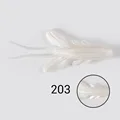NW203