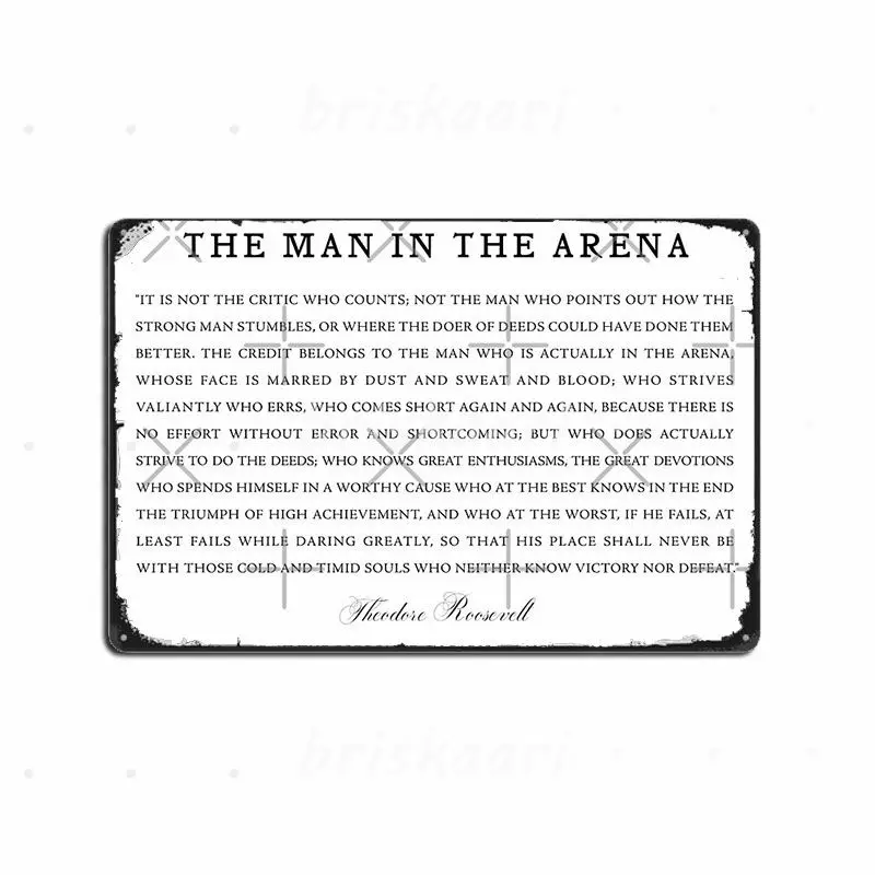 The Man In The Arenas Metal Signs Custom Wall Cinema Kitchen Plaques Metal Posters