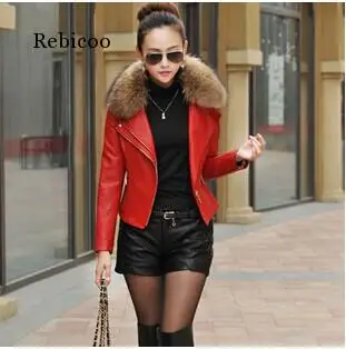 Autumn New Women Genuine Racoon Dog Fur Collar Leather Jacket Slim Stand Collar Plus Cotton Motorcycle Leather Jacket M-5XL