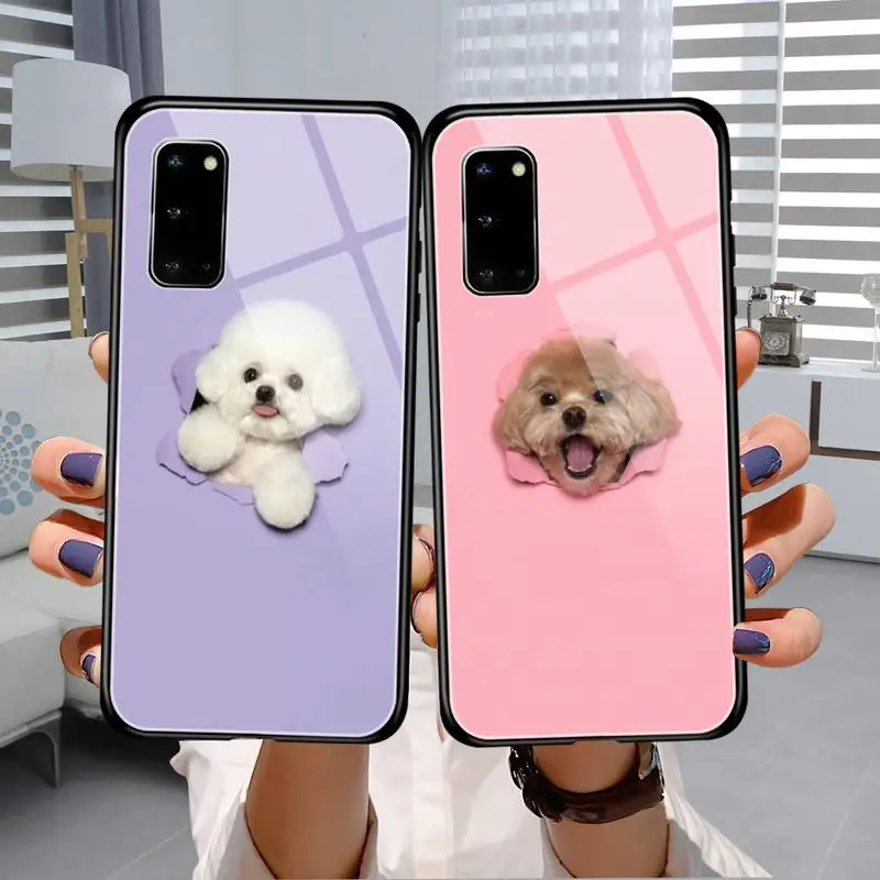 cute teddy dog Phone Case Tempered Glass For Samsung S20 Plus S7 S8 S9 S10E Plus Note 8 9 10 Plus A7 2018